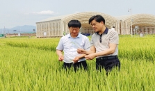 到海南“耕耘”，为1亿亩盐碱地找出路 经济要闻 华声经济