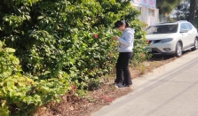 驻城东镇帮扶工作队：科技赋能生态革新探寻荔枝产业提质增效新路径