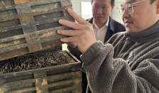 专家组团下田为春耕注入科技动能 经济要闻 华声经济