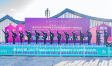 承业建设·2025平湖金山半程马拉松暨浙沪乡村半程马拉松鸣枪开跑