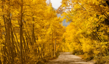 未来三天寒潮减弱南方地区开始升温 未来一周全国大部地区干燥少雨