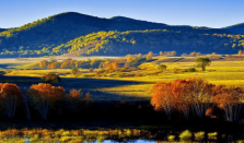 秋季为何越来越短了 5天滑动平均气温低于22℃时才算入秋