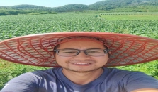 “90后”种瓜，如何在亏本中逆风翻盘 经济要闻 华声经济