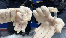 守护国门生物安全，长沙海关开展宣传活动 经济要闻 华声经济