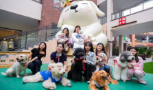 萌宠经济升温，杉杉奥莱如何将“毛孩子”变成新流量？