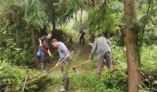 《湖南省林业行业领域安全生产重大事故隐患判定标准》正式发布 经济要闻 华声经济