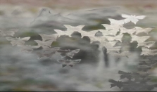 春韵·年味：陈顺林的东方意象与中国式现代笔墨