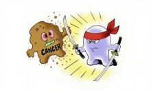 ADC药物的“旁观者效应”：如何杀死未靶向的癌细胞？