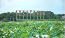 湖南同汇长龙生态欢乐园：  探索三产融合新路径，打造乡村振兴新标杆