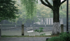 今明两天各地气温将自北向南迎来回升 今明两天江南等地持续阴雨不便出行