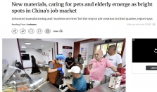 家庭消费升级和情感消费增加，推动宠物经济进入快速发展期