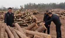 湖南2026“虫情预报”来了 经济要闻 华声经济