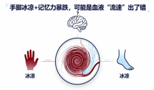 手脚冰凉+记忆力暴跌，可能是血液“流速”出了错