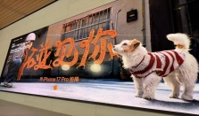 使用iPhone 17 Pro拍摄 Apple发布第九部新春影片《碰见你》