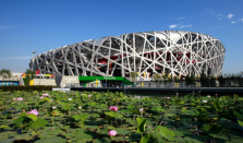 “鸟巢”为啥“忙个不停” 鸟巢体育场2026年档期已满