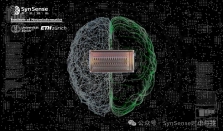 时识科技（SynSense）发布全新一代超低功耗高通量侵入式脑机接口芯片