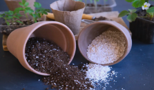 毒营养土搅乱市场何以监管处罚 如何区分辨别毒营养土