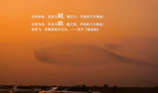 北冥有鱼竟然是真的 黄河口生态旅游区内出现鸟群形似鲲鹏的奇观